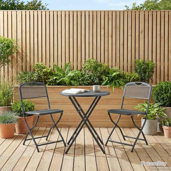 Chaises de 2 pcs Anthracite 52,5 x 46 x 82 cm Fer