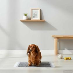 Tapis d'entra&icirc;nement pour animaux en tissu non tiss&eacute; 50 pcs