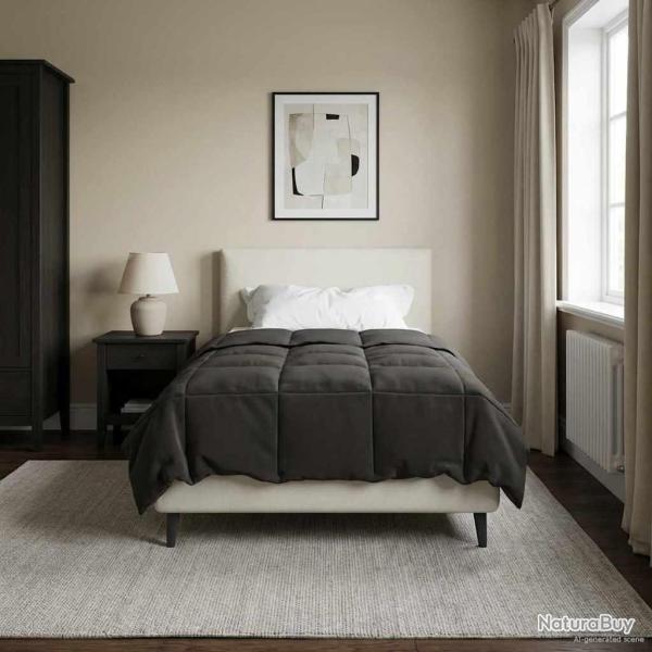 Duvet d'�t� simple Matelass� Anthracite 135 x 220 cm Microfibre