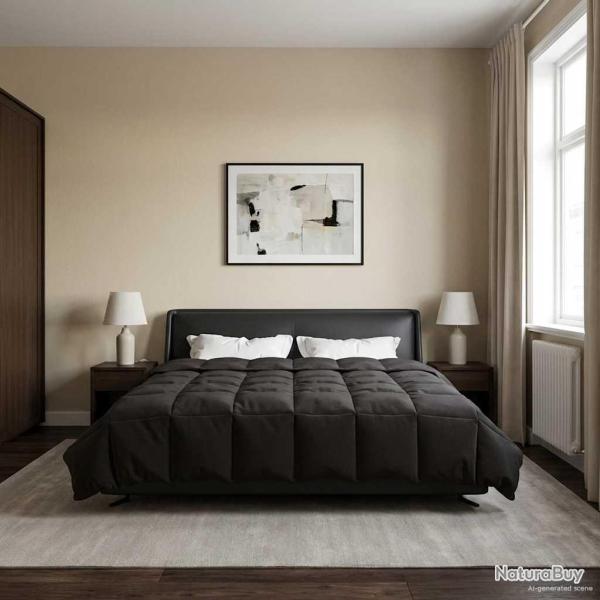 Duvet d'�t� simple Matelass� Anthracite 220 x 260 cm Microfibre