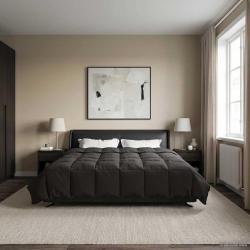 Duvet complet toute l'ann&eacute;e Anthracite 220 x 260 cm Microfibre