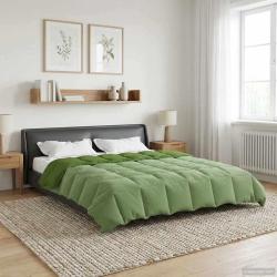 Duvet complet toute l'ann&eacute;e Vert 240 x 260 cm Microfibre