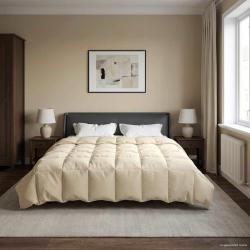 Duvet complet toute l'ann&eacute;e Cr&egrave;me 200 x 220 cm Microfibre