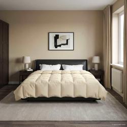 Duvet complet toute l'ann&eacute;e Cr&egrave;me 220 x 260 cm Microfibre