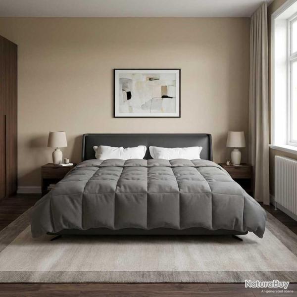 Duvet d'hiver Matelass� Gris clair 200 x 200 cm Microfibre