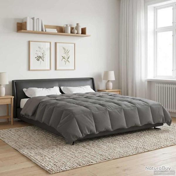 Duvet d'hiver Matelass� Gris clair 200 x 240 cm Microfibre