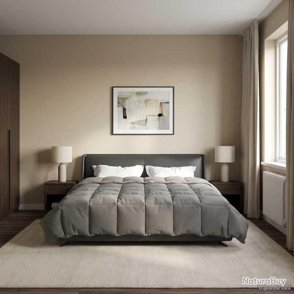 Duvet d'hiver Matelass� Gris clair 200 x 220 cm Microfibre