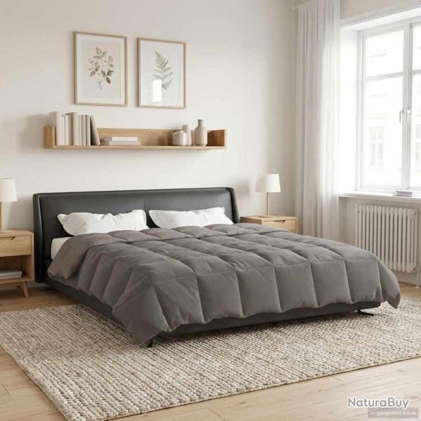 Duvet d'hiver Matelass� Gris clair 240 x 260 cm Microfibre