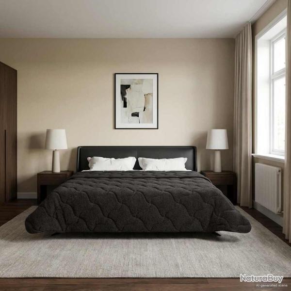 Duvet complet toute l'ann�e Matelass� Anthracite 200 x 200 cm