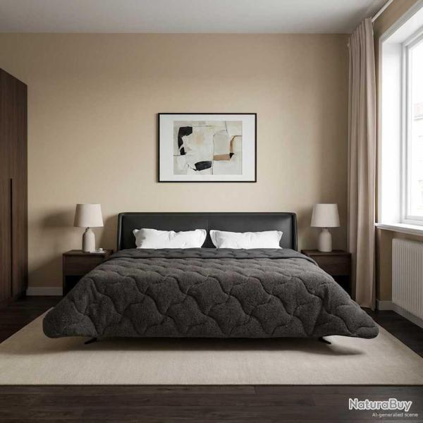 Duvet complet toute l'ann�e Matelass� Anthracite 200 x 220 cm
