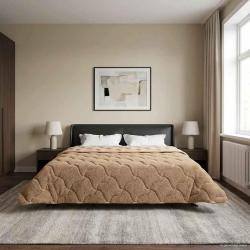 Duvet d'hiver Taupe 200 x 240 cm Microfibre et polaire Teddy