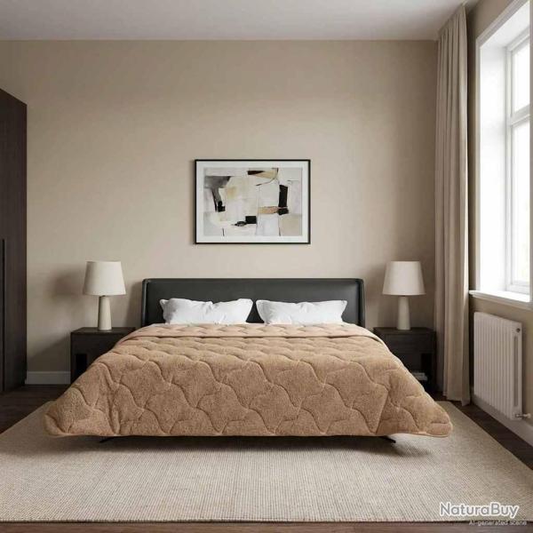 Duvet d'hiver Taupe 200 x 220 cm Microfibre et polaire Teddy