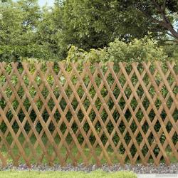 Trellis extensible pour cl&ocirc;ture 2 pcs Marron Clair 100 x 105 cm
