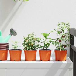 Pot &agrave; fleurs rond 100 pcs Terre cuite &Oslash; 10 x 8 cm Plastique