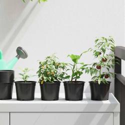 Pot &agrave; fleurs rond 50 pcs Noir &Oslash; 10 x 8 cm Plastique