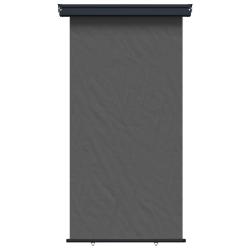 Store lat&eacute;ral de balcon 117 x 250 cm 100% polyester fer acier