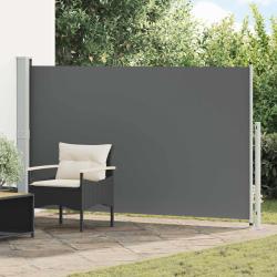 Store lat&eacute;ral r&eacute;tractable Anthracite 300 x 180 cm Polyester