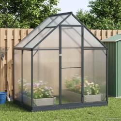 Serre de avec porte Anthracite 183,5 x 123 x 207 cm
