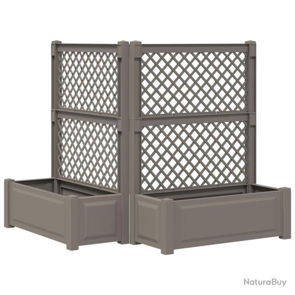 Grand bac avec treille 2 pcs Gris 143 x 143 x 133,5 cm PP