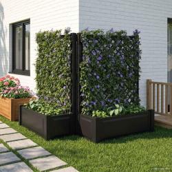 Grand bac avec treille 2 pcs Anthracite 143 x 143 x 133,5 cm PP