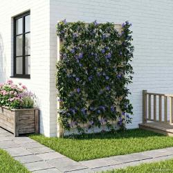 Trellis avec pique Blanc 99 x 6 x 165 cm PP