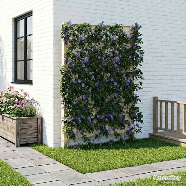 Trellis avec pique Blanc 99 x 6 x 165 cm PP