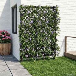 Trellis avec pique Anthracite 99 x 6 x 165 cm PP