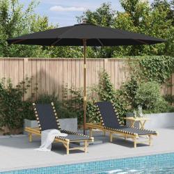 Parasol d'ext&eacute;rieur avec m&acirc;t en bois 350 cm Anthracite
