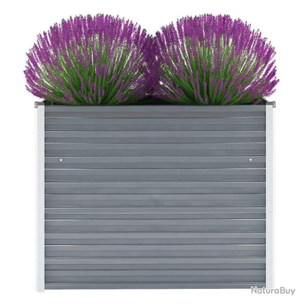 Lit sur�lev� de Acier galvanis� 100x40x77 cm Gris