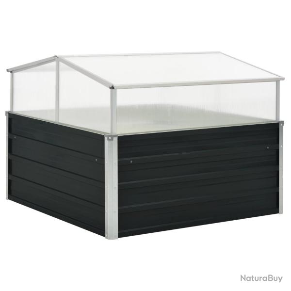 Serre Anthracite 100x100x77 cm Acier galvanis�