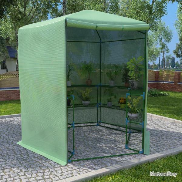 Serre avec �tag�res Acier 227x223 cm