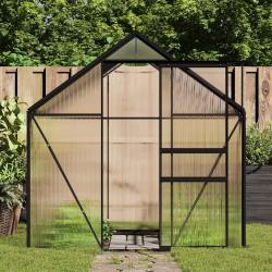 Serre avec cadre de base Anthracite Aluminium 4,75 m&sup2;