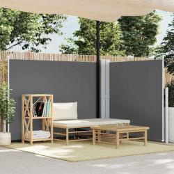 Auvent lat&eacute;ral r&eacute;tractable Anthracite 140 x 600 cm