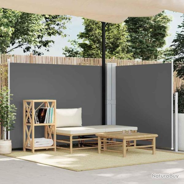 Auvent lat�ral r�tractable Anthracite 140 x 600 cm