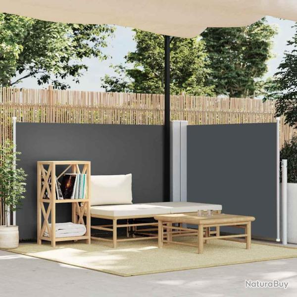 Auvent lat�ral r�tractable Anthracite 120 x 1000 cm