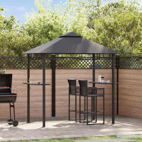 Belv�d�re de barbecue 240x150x255 cm Anthracite Acier