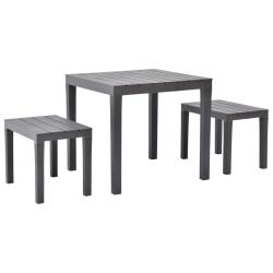 Table de avec 2 bancs Plastique Marron