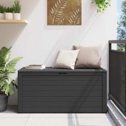 Bo&icirc;te de rangement de Anthracite 116x44x55 cm