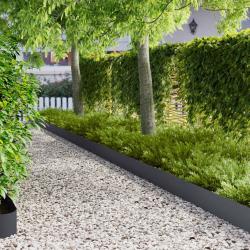 Bordure de Pelouse 10 pcs 103 x 20 cm Acier Anthracite