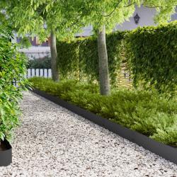 Bordure de Pelouse 50 pcs 100 x 20 cm Acier Noir