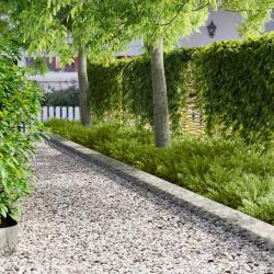 Bordure de Pelouse 20 pcs 102 x 15 x 4 cm Acier Argent&eacute;
