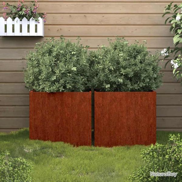 Jardini�res 2 pcs 49x47x46 cm acier corten