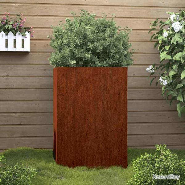 Jardini�re 52x48x75 cm acier corten