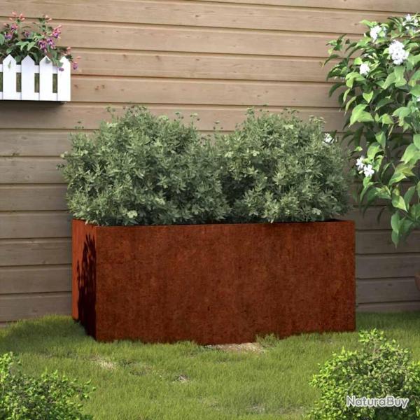 Jardini�re 62x40x39 cm acier corten