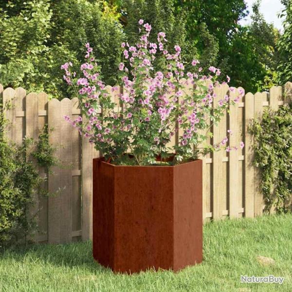 Jardini�re Rouill� 40x40x45 cm Acier corten