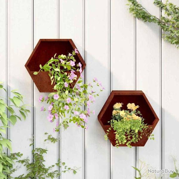 Jardini�res murales 2 pcs Rouill� Acier corten 30x10x25 cm