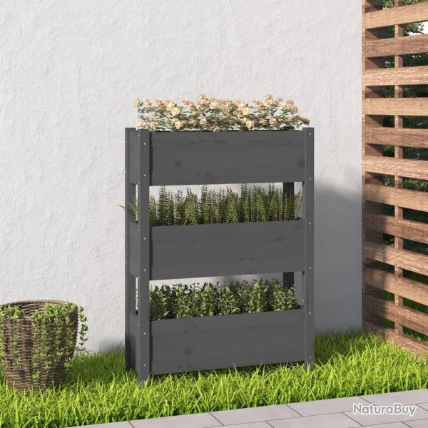 Jardini�re Gris 77x25x104,5 cm Bois massif de pin