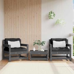 Chaises avec coussins, lot de 2, en bois de pin massif, grises