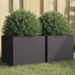 Jardini&egrave;res 2 pcs noir 32x30x29 cm acier