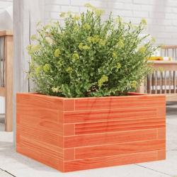 Jardini&egrave;re cire marron 40x40x23 cm bois de pin massif